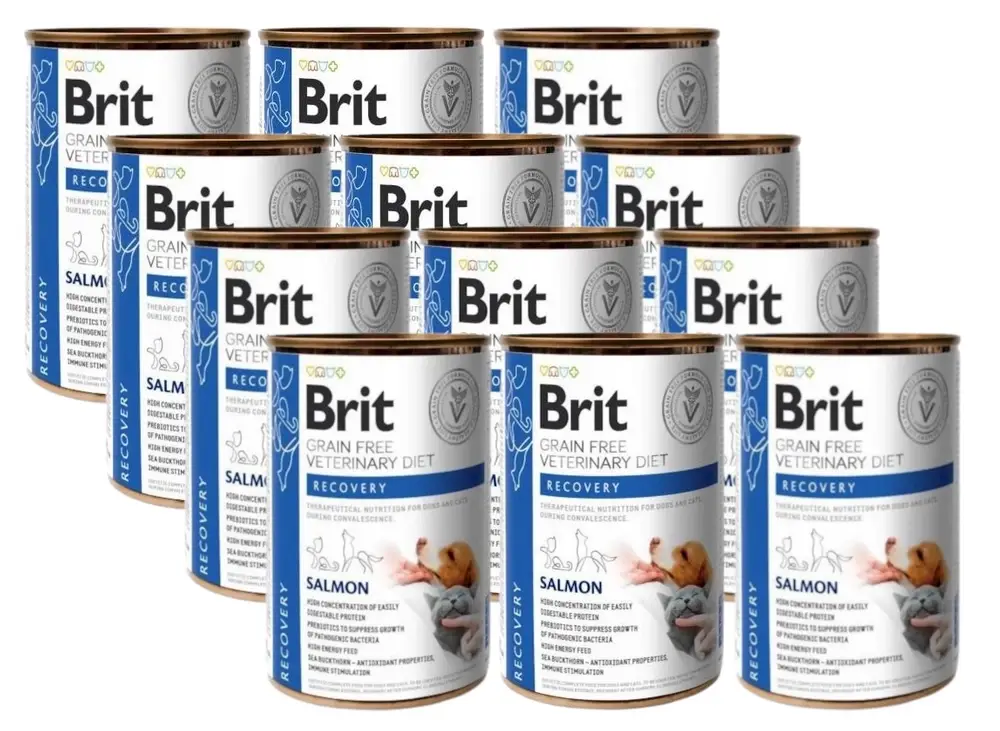 Cenový Hit BRIT GF Veterinary Diets Recovery Salmon 12x400g – mokré krmivo pro psy a kočky