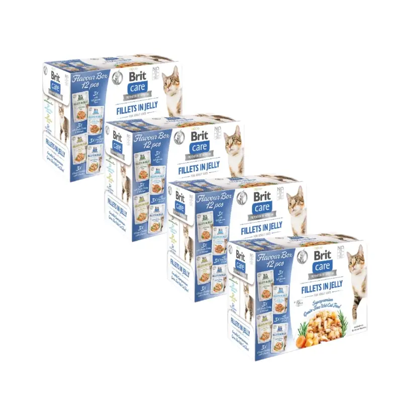 BRIT CARE Kočičí filety v želé mix 48x85g Vrácení Zdarma