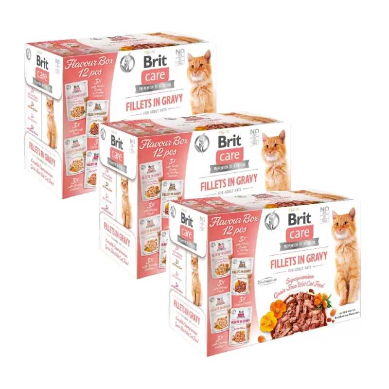 BRIT CARE Kočičí filety v omáčce mix 36x85g Cenová Bomba