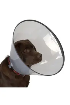 Límec ochranný BUSTER plastový Comfort Collar 30 cm Vysoce Kvalitní
