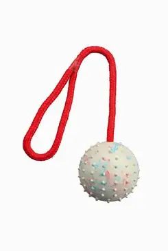 Hračka pes Míč hrbolatý na šňůrce 6cm/30cm Trixie Ihned K Objednání