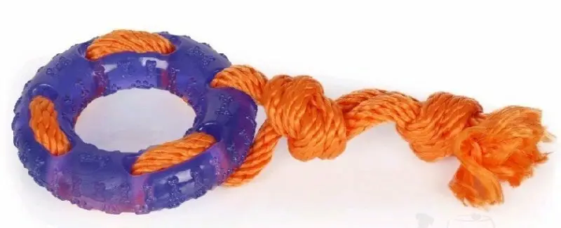 Přímo Od Výrobce Hračka pes Denta Roo Záchranný kruh 22cm/9,5cm