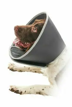 Límec ochranný BUSTER pěnový Foam Collar 30cm 1ks Vrácení Zdarma
