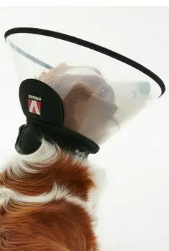 Límec ochranný BUSTER plastový Complete Collar 20cm Tovární Cena