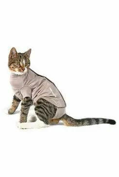 Akční Nabídka Obleček Body Suit Step‘n Go Cats XS béžový BUSTER
