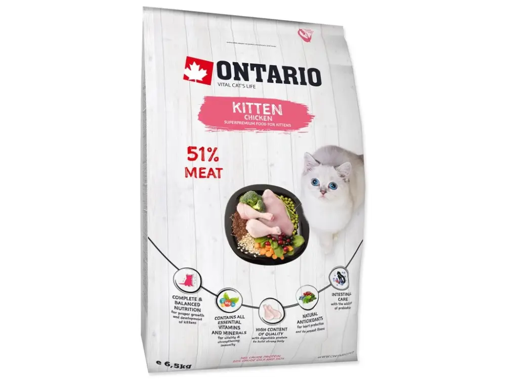 Aktuální ONTARIO Kitten Chicken